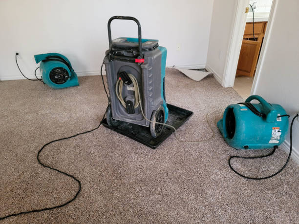 Best Ceiling water damage repair  in Baytown, TX