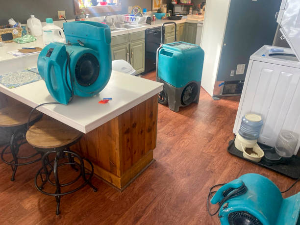 Best 24/7 water damage repair  in Baytown, TX