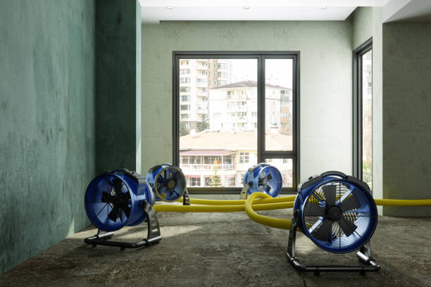 Best Water damage contractors near me  in Baytown, TX